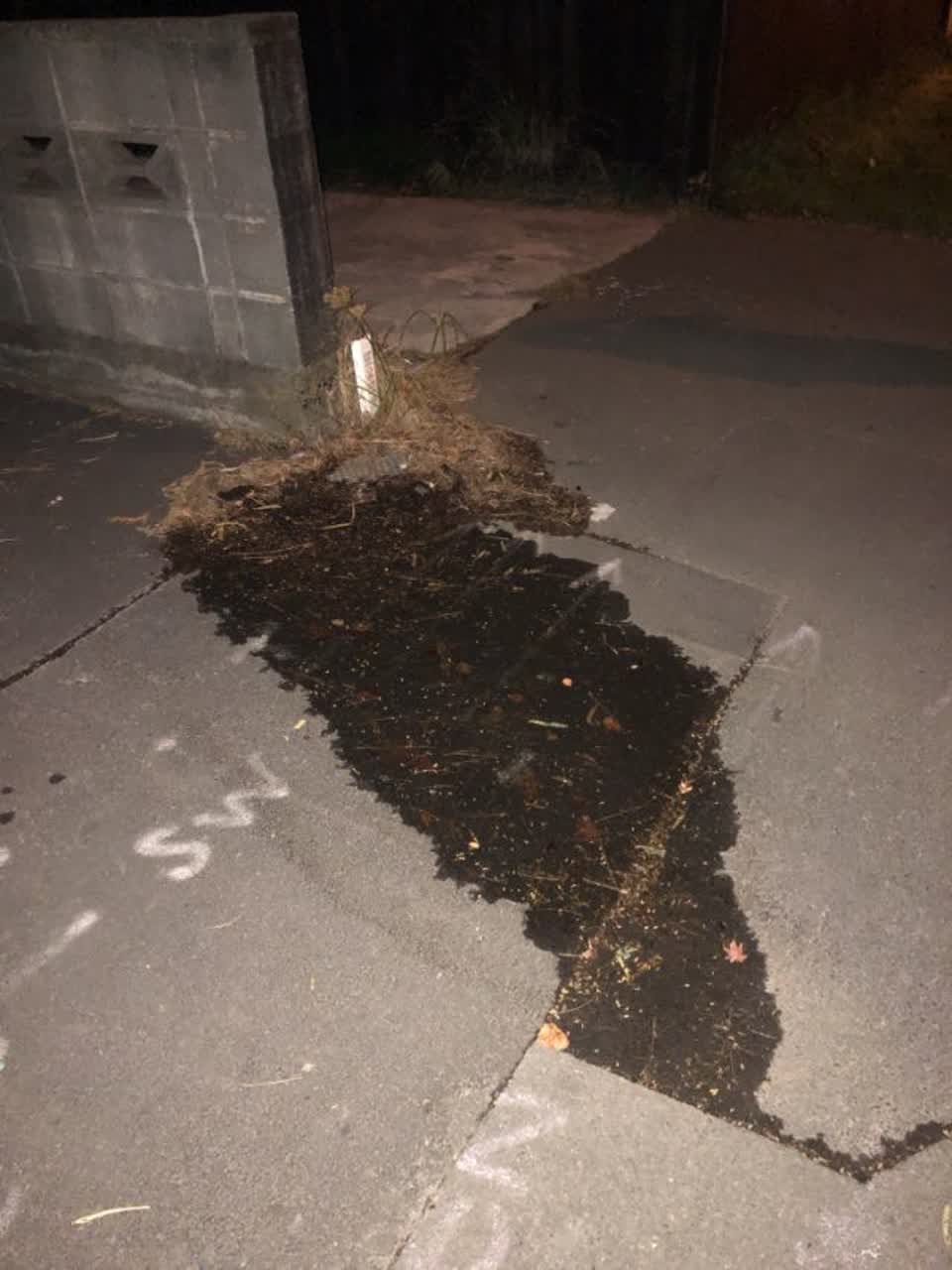 The photograph attached to this water supply report