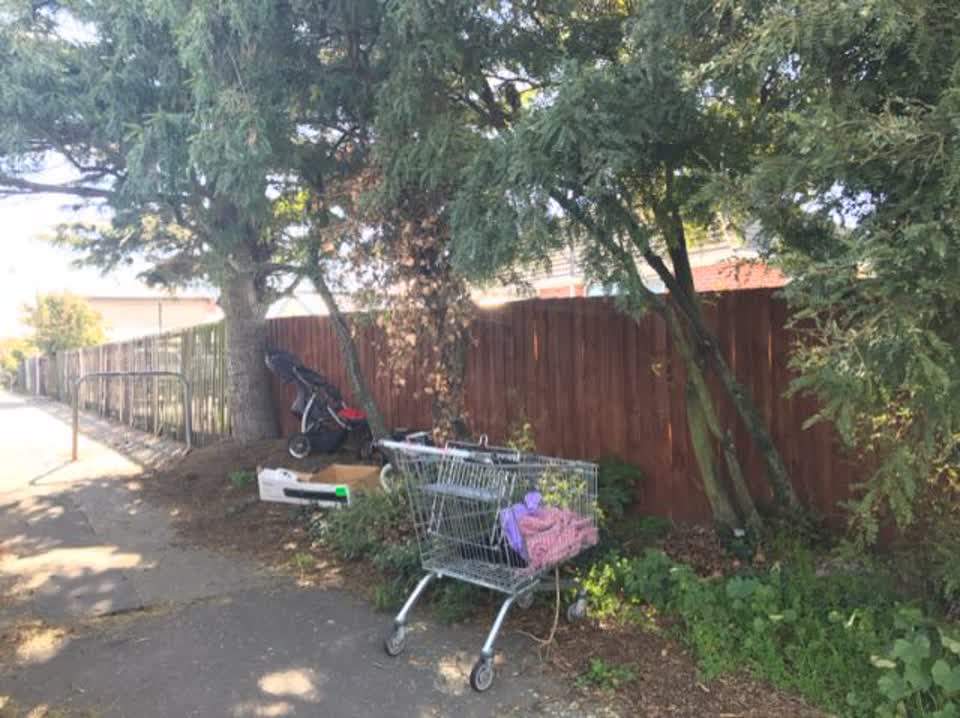 The photograph attached to this rubbish/recycling report