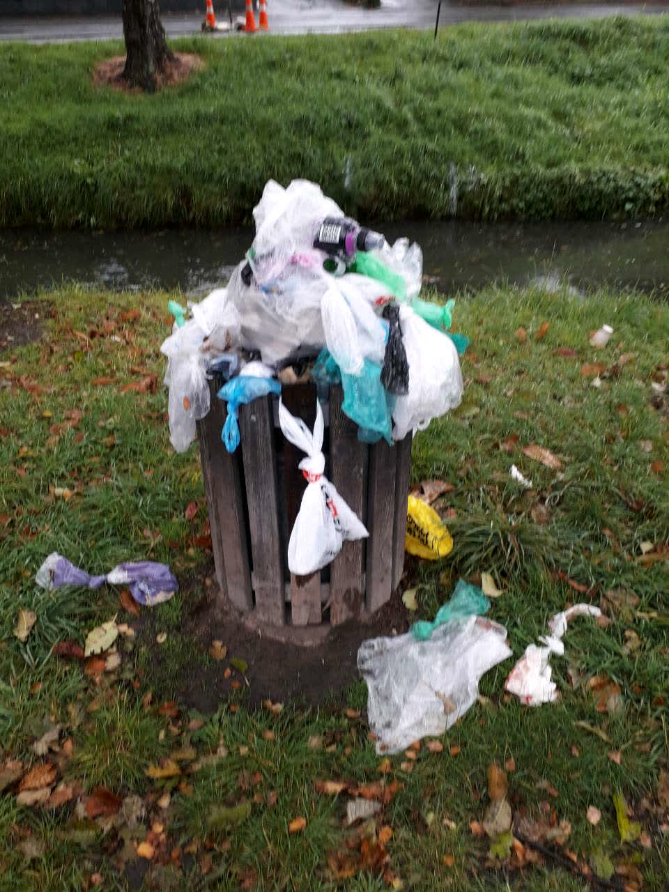 The photograph attached to this rubbish/recycling report