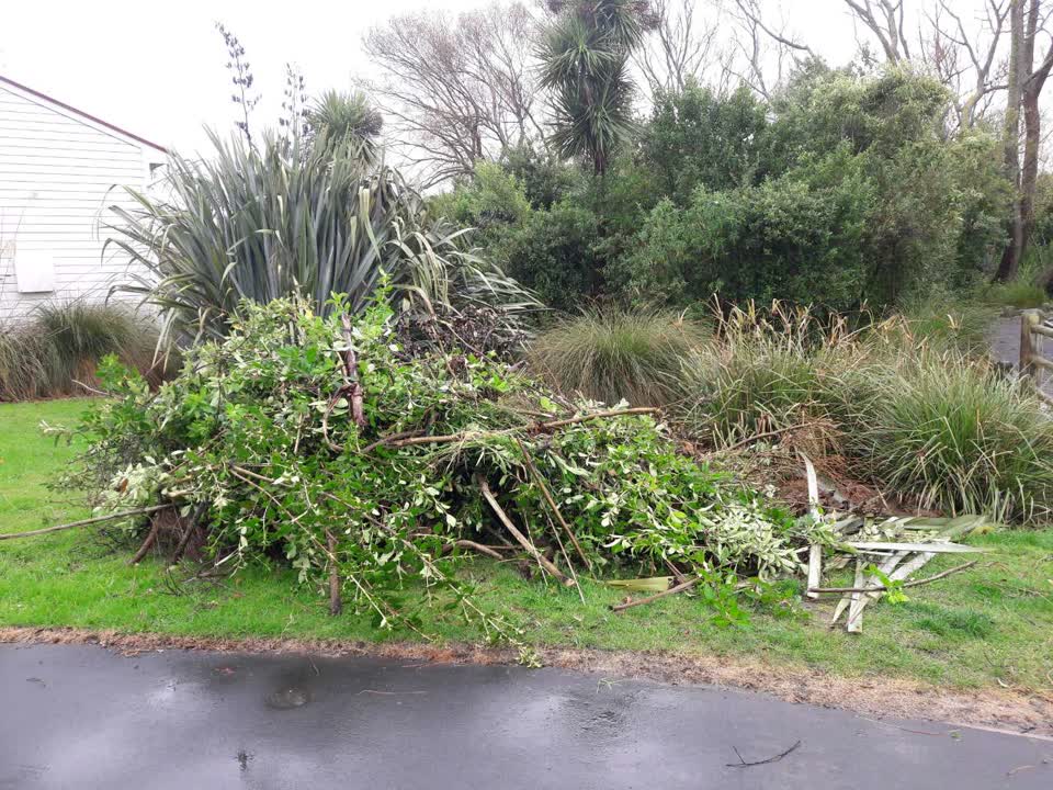 The photograph attached to this parks report