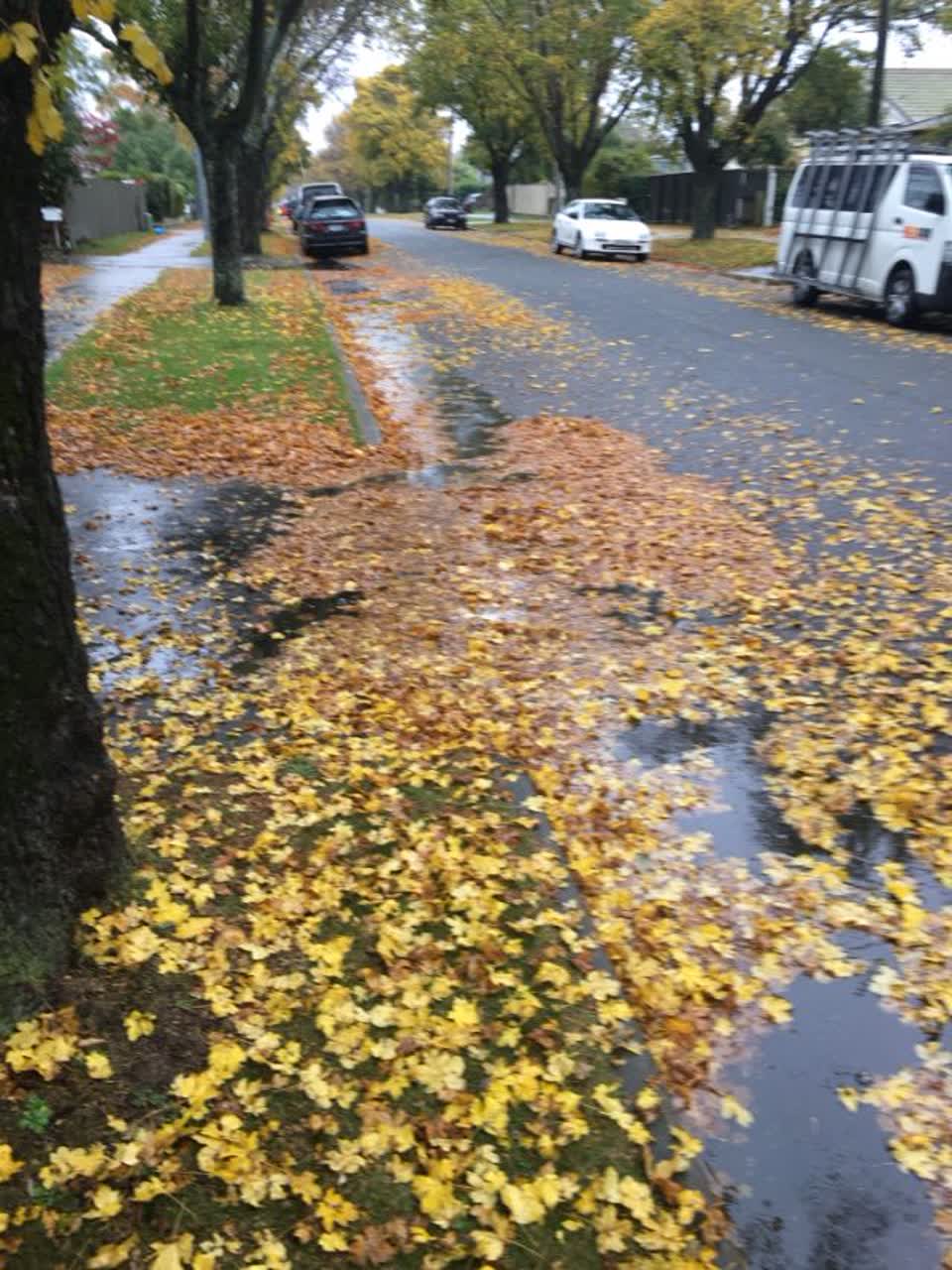 The photograph attached to this wastewater/stormwater report