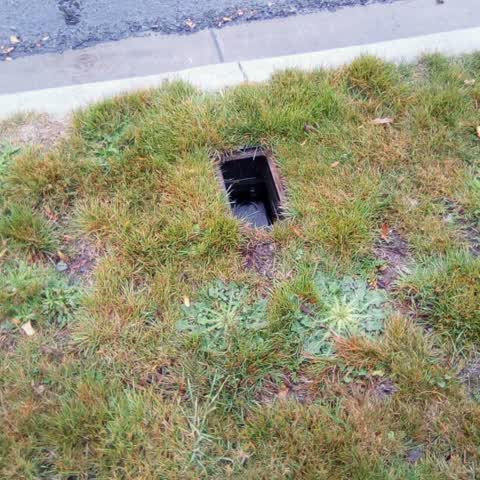 Wastewater/Stormwater, a report photo