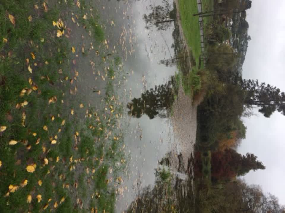 The photograph attached to this flooding report