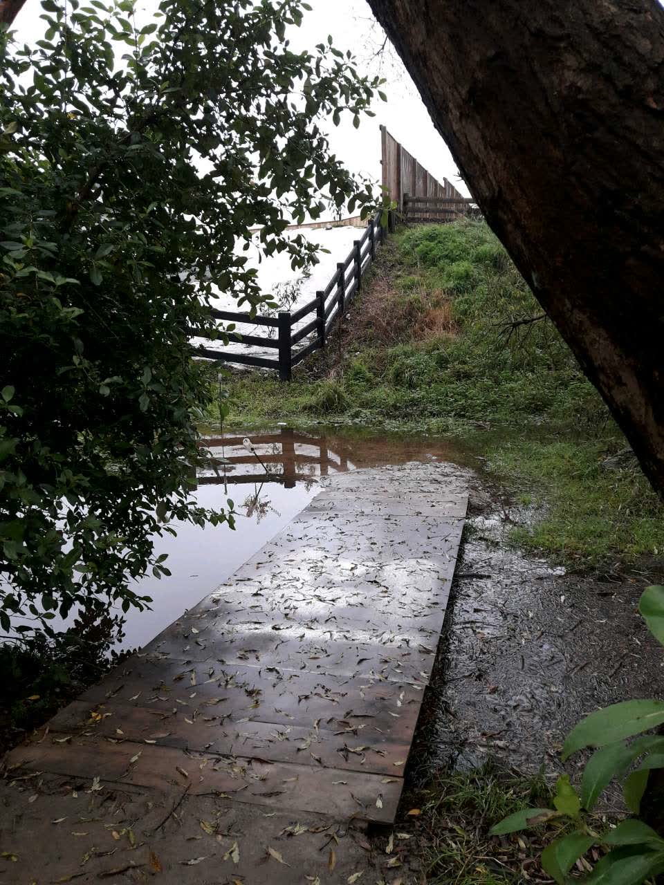 The photograph attached to this parks report