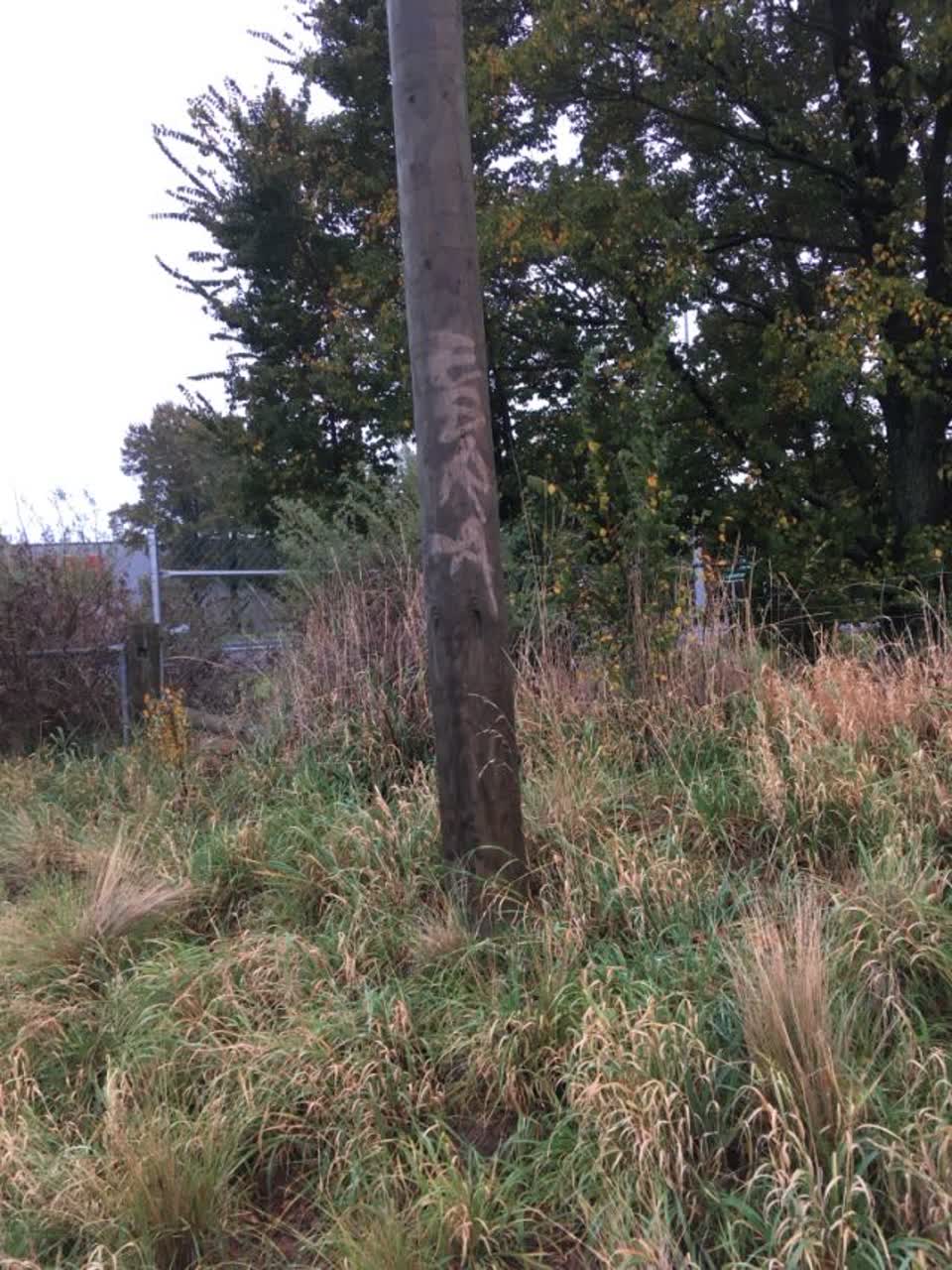 The photograph attached to this graffiti report