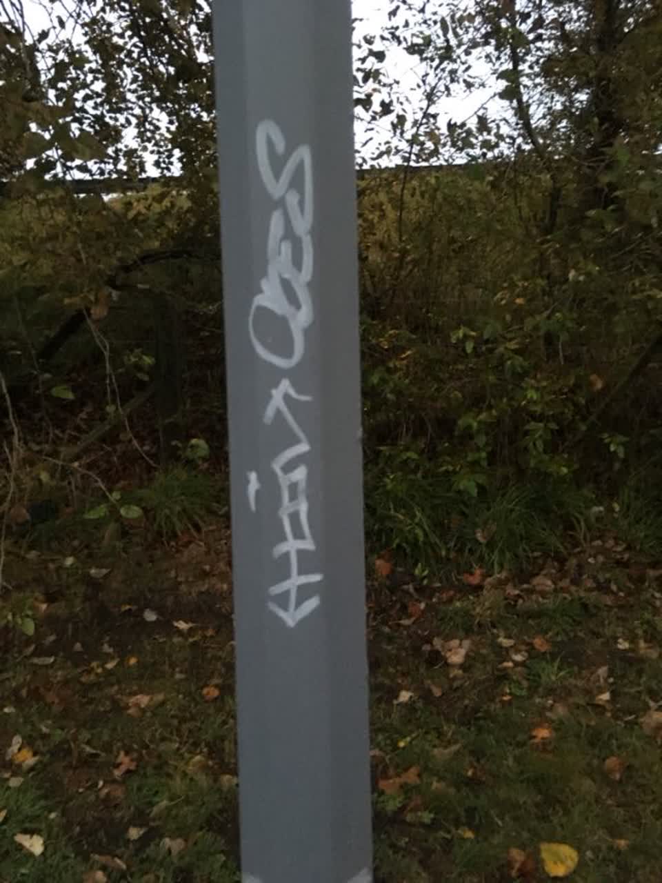 The photograph attached to this graffiti report