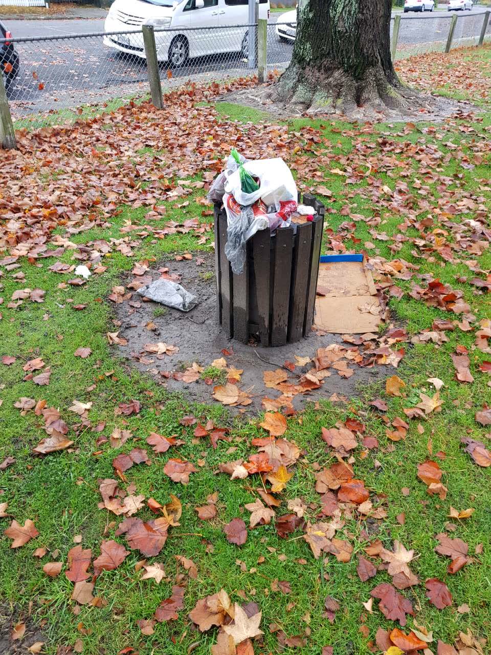 The photograph attached to this parks report