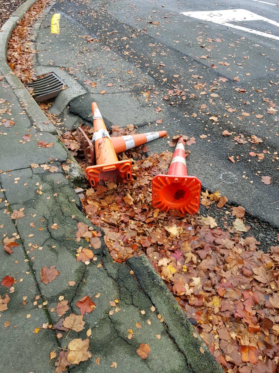 The photograph attached to this roading/streets report