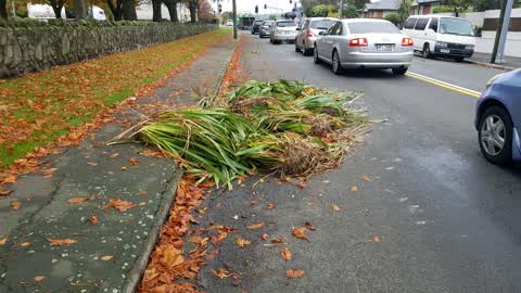 Roading/Streets, a report photo