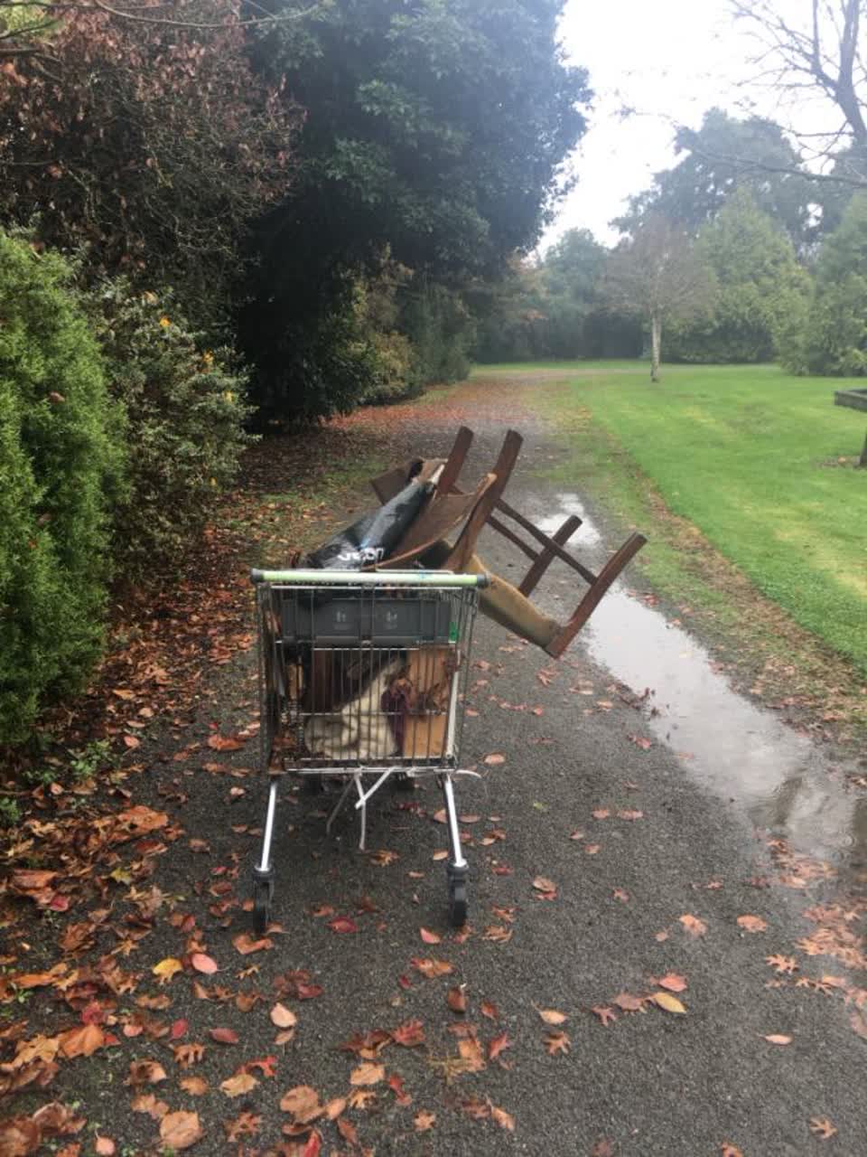 The photograph attached to this parks report