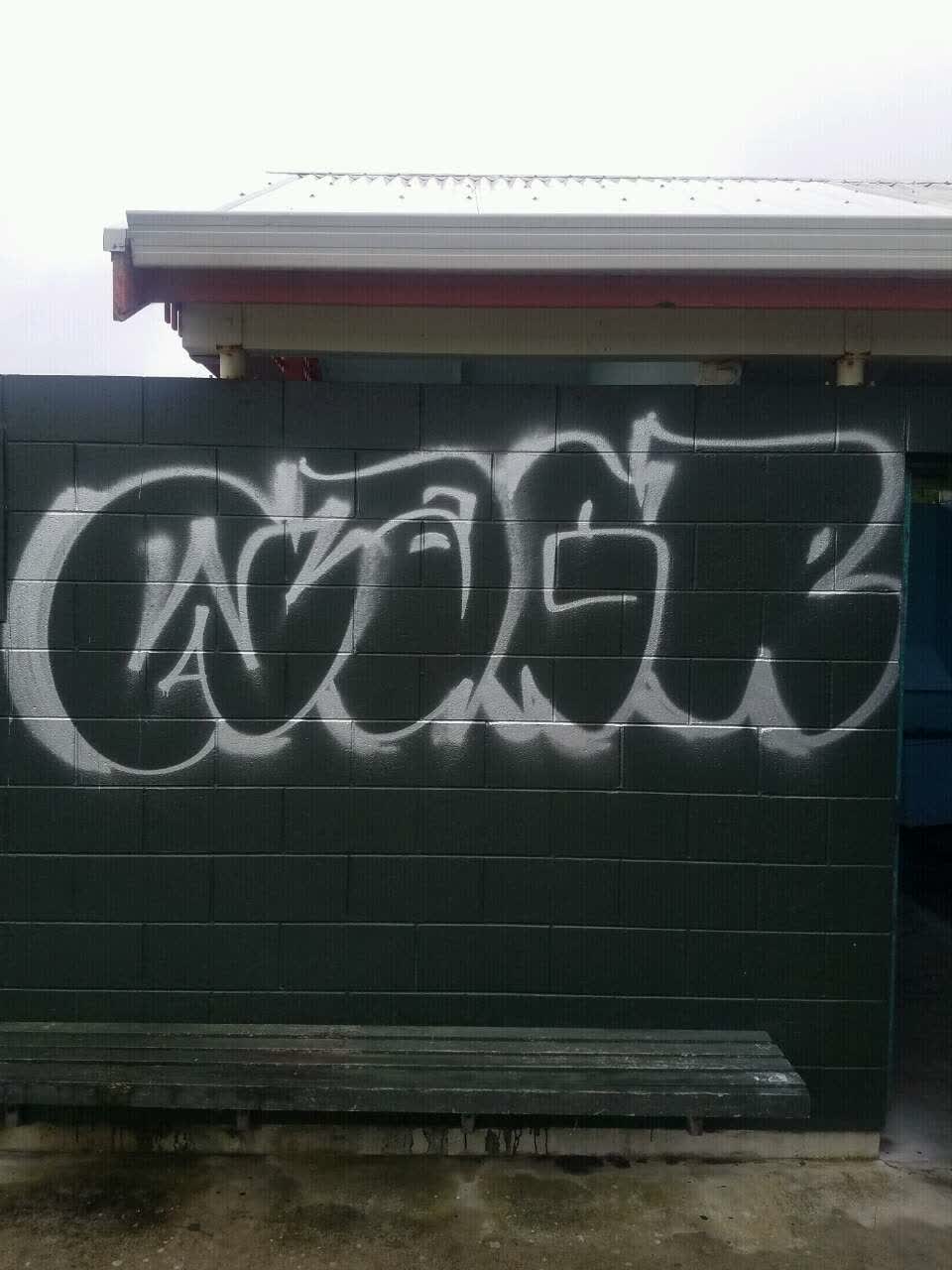 The photograph attached to this graffiti report