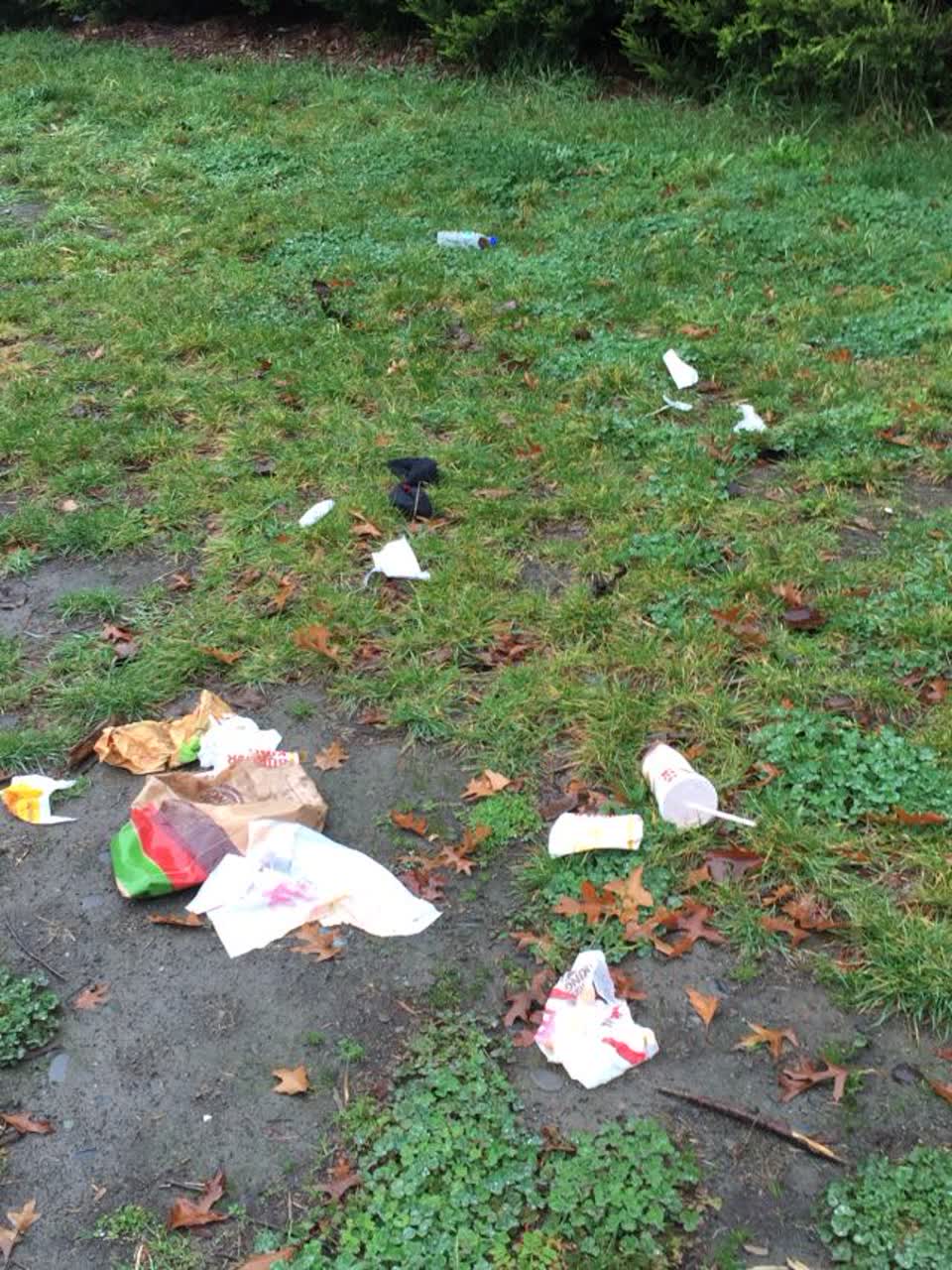The photograph attached to this rubbish/recycling report