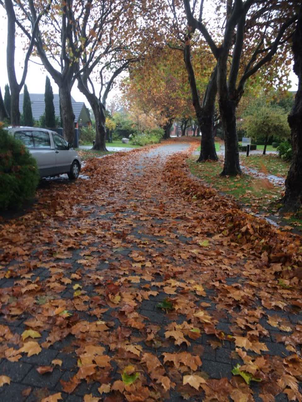 The photograph attached to this wastewater/stormwater report