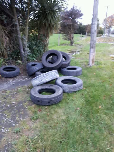 Rubbish/Recycling, a report photo
