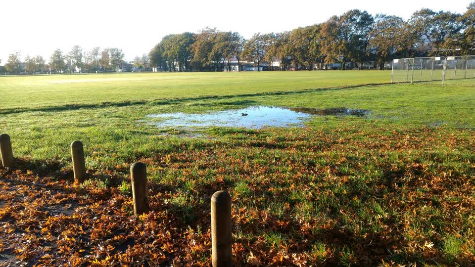 The photograph attached to this flooding report
