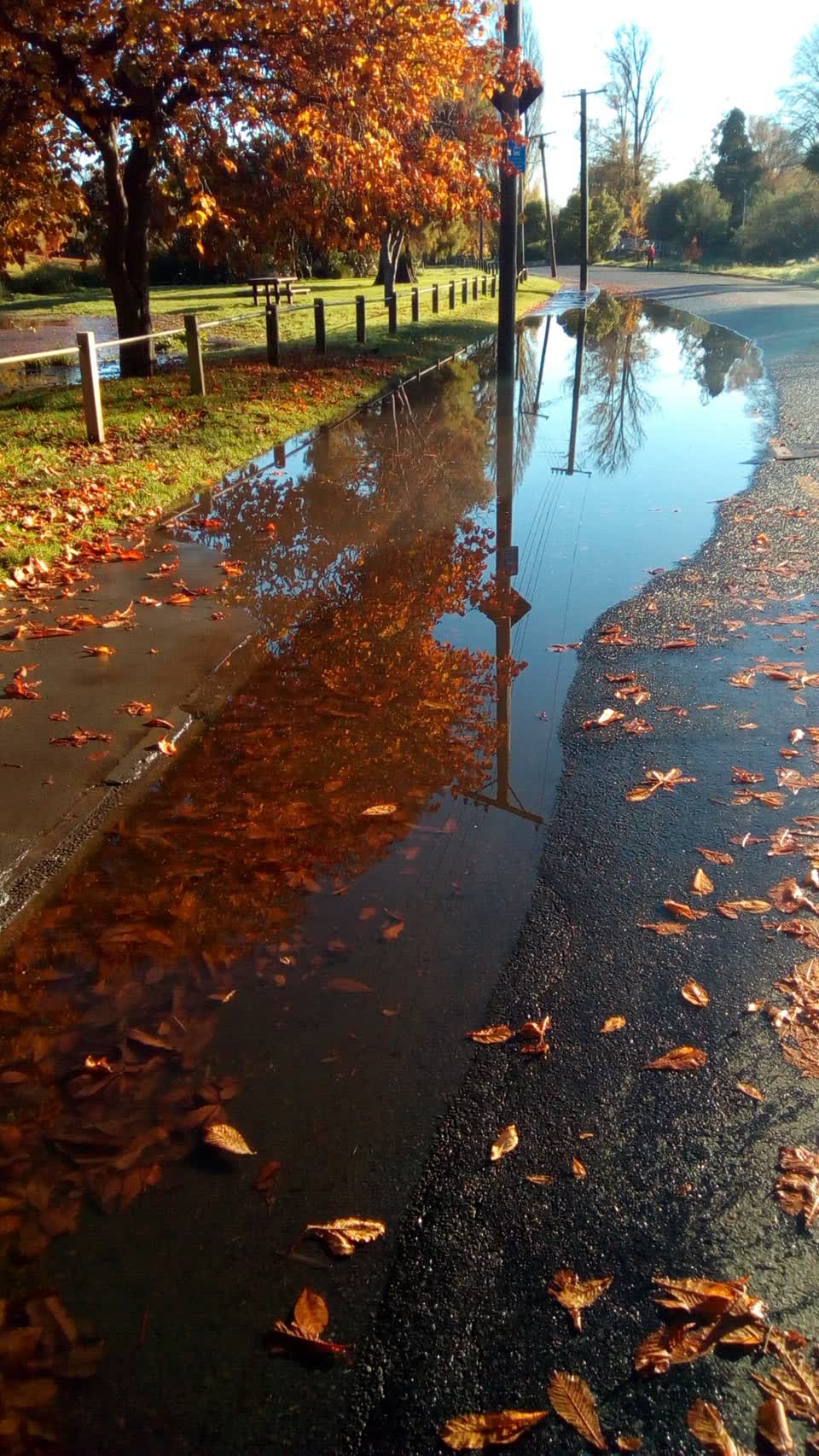 The photograph attached to this flooding report