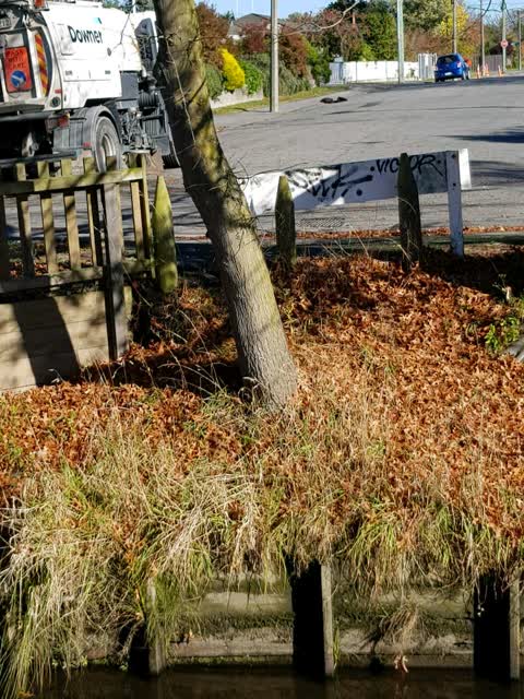 Graffiti — a report photo
