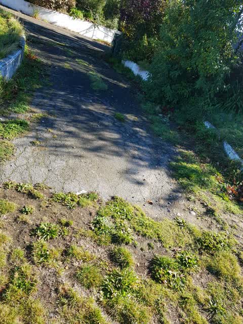 Parks — a report photo