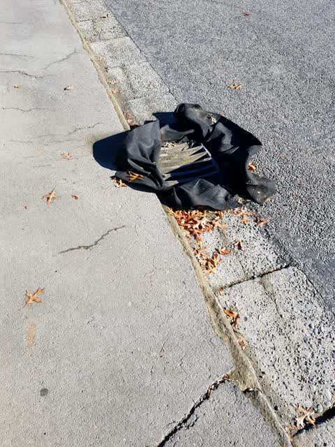 Wastewater/Stormwater — a report photo