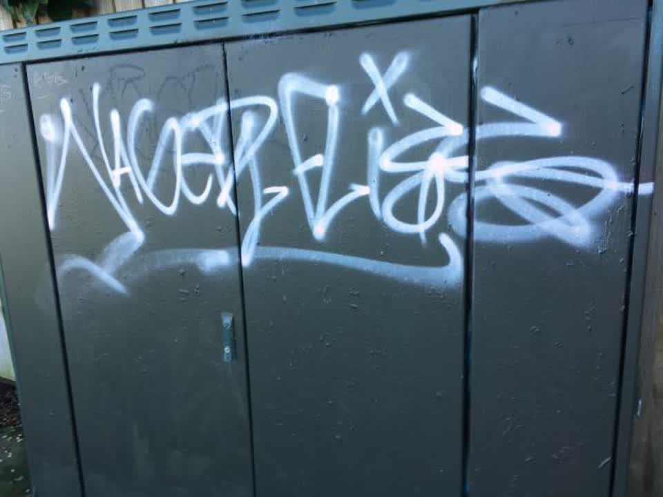 The photograph attached to this graffiti report
