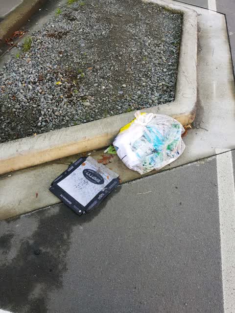 Rubbish/Recycling, a report photo