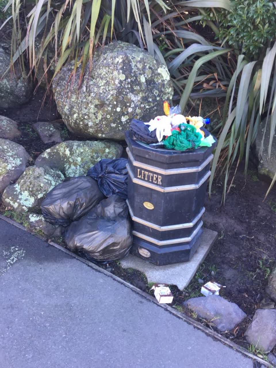 The photograph attached to this rubbish/recycling report