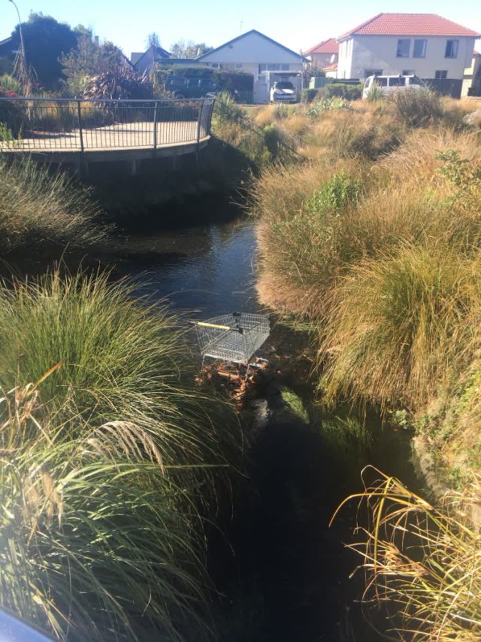 The photograph attached to this parks report