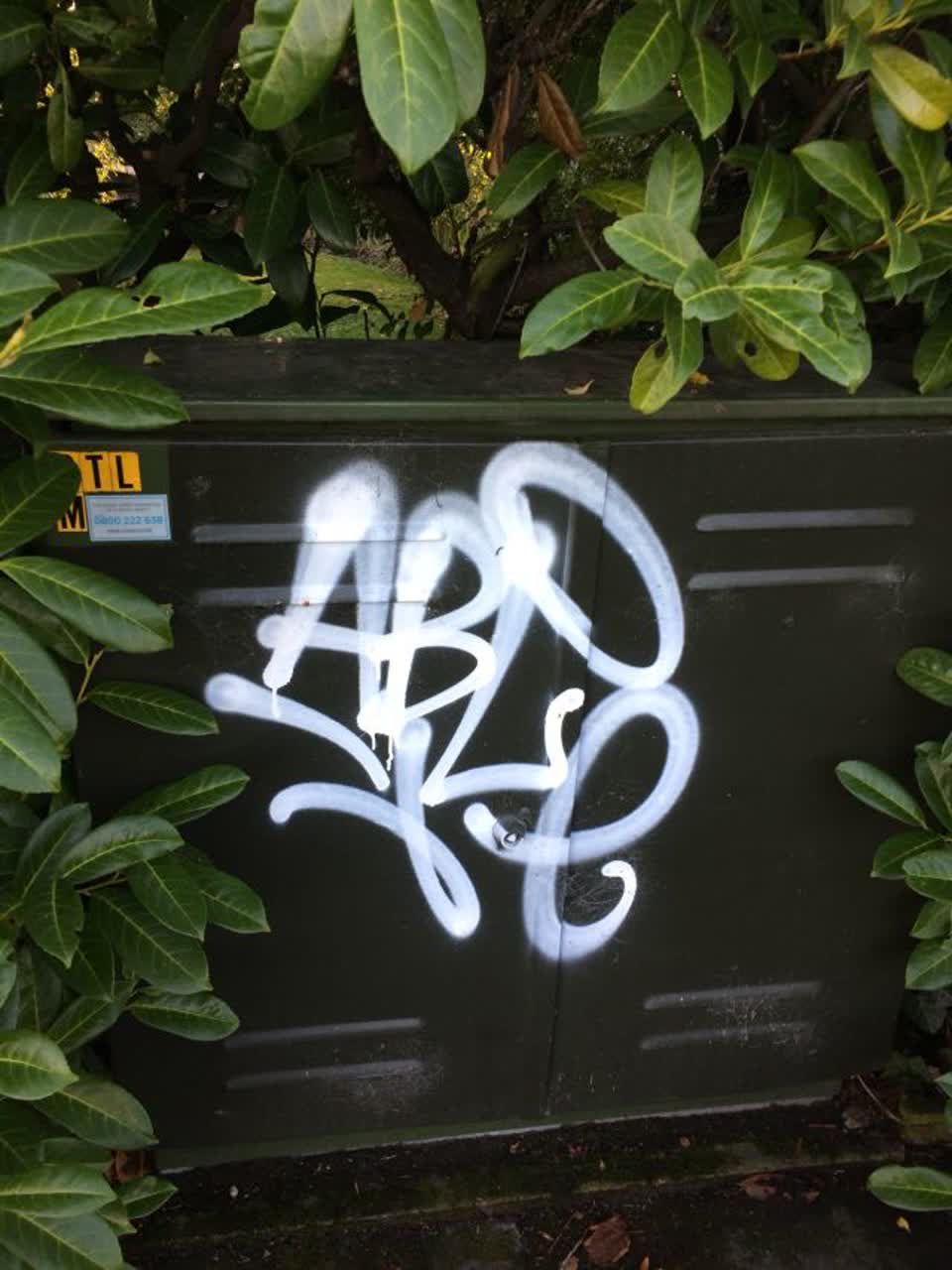 The photograph attached to this graffiti report