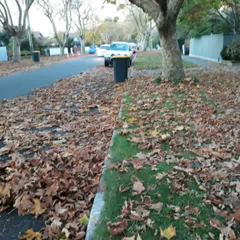 Roading/Streets, a report photo