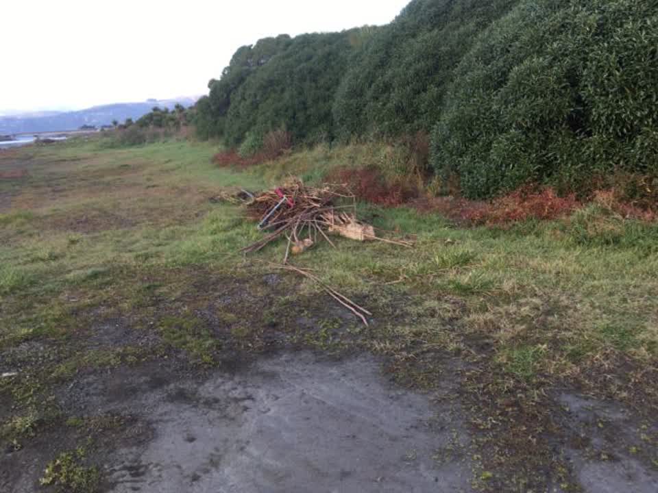 The photograph attached to this roading/streets report
