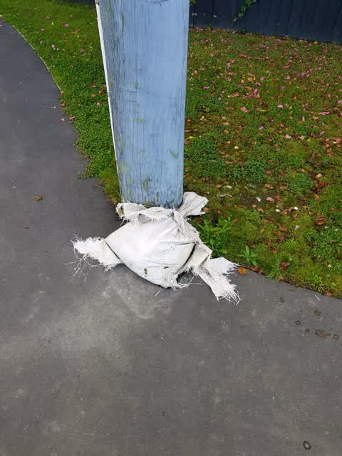 Rubbish/Recycling, a report photo