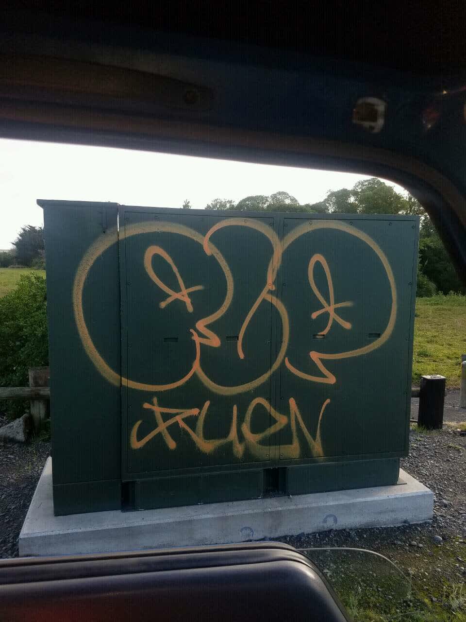 The photograph attached to this graffiti report