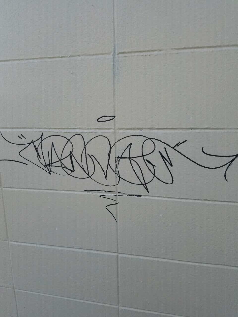 The photograph attached to this graffiti report