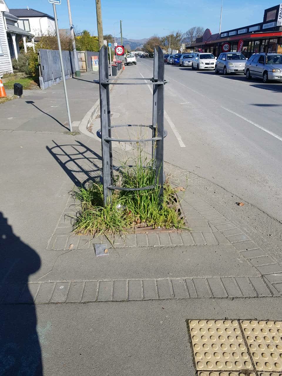 The photograph attached to this parks report