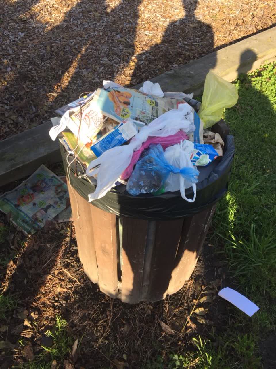 The photograph attached to this parks report