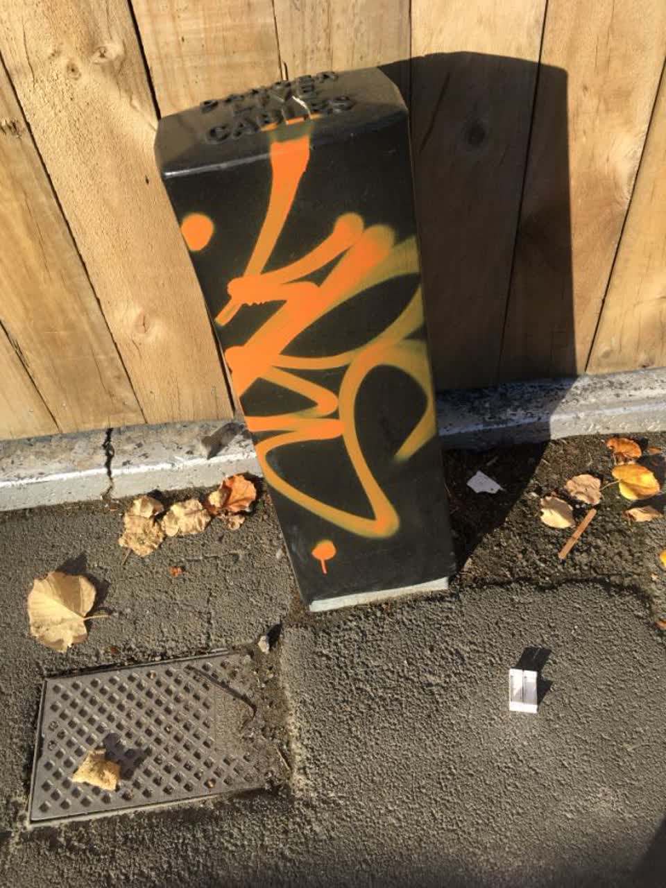 The photograph attached to this graffiti report