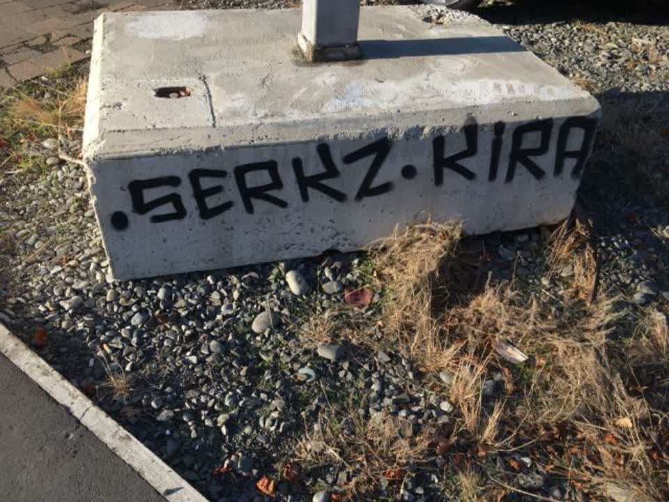 The photograph attached to this graffiti report