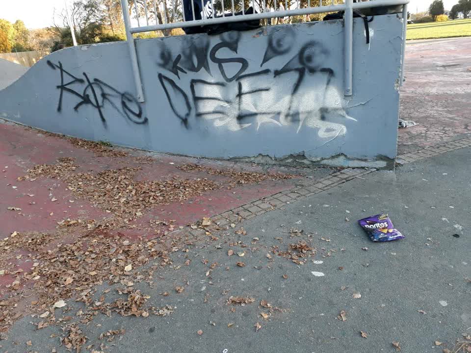 The photograph attached to this graffiti report