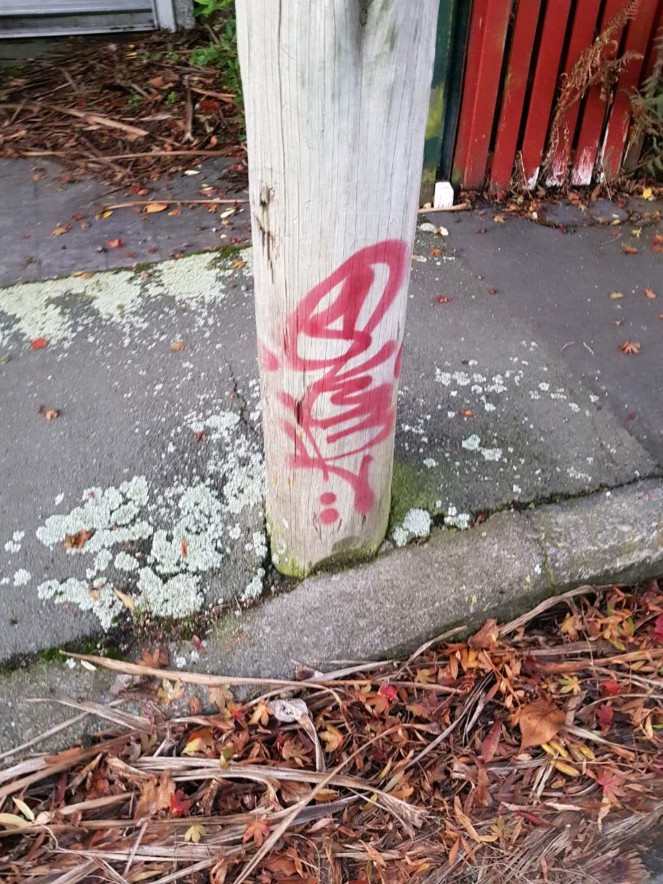 The photograph attached to this graffiti report