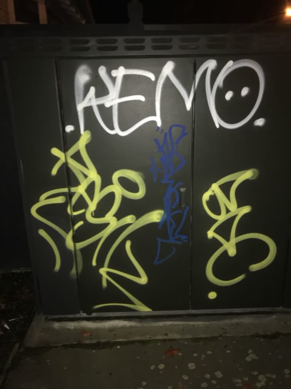The photograph attached to this graffiti report