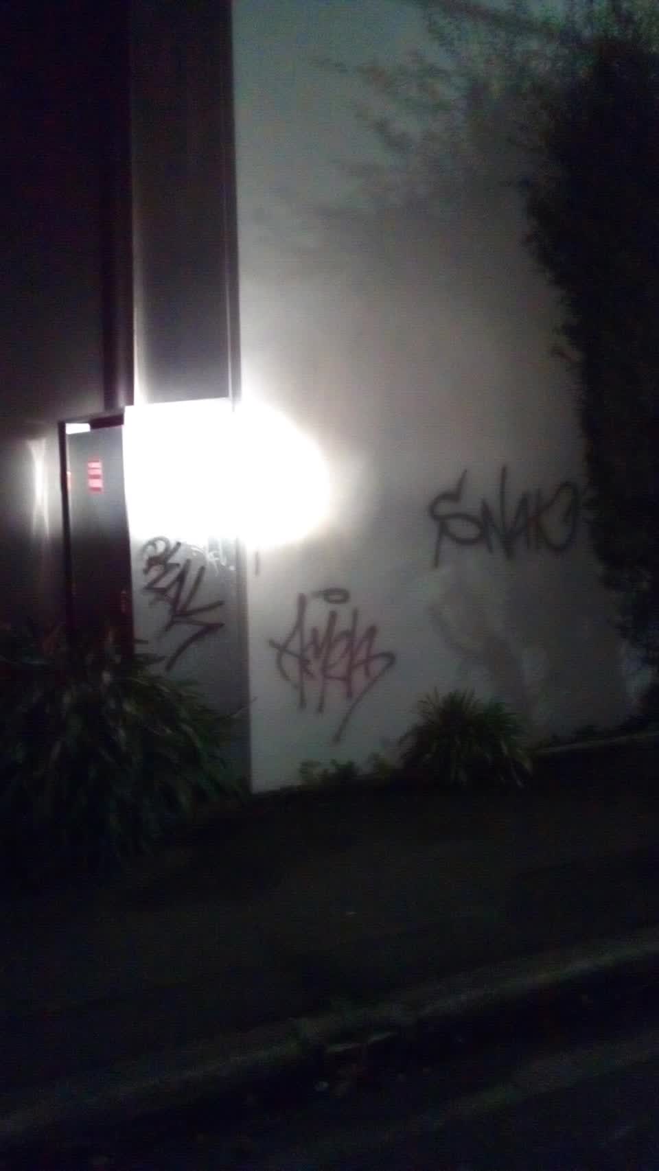 The photograph attached to this graffiti report