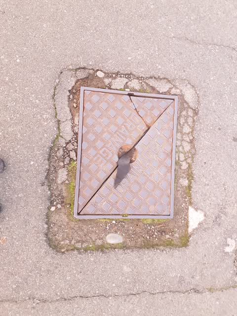 Roading/Streets, a report photo