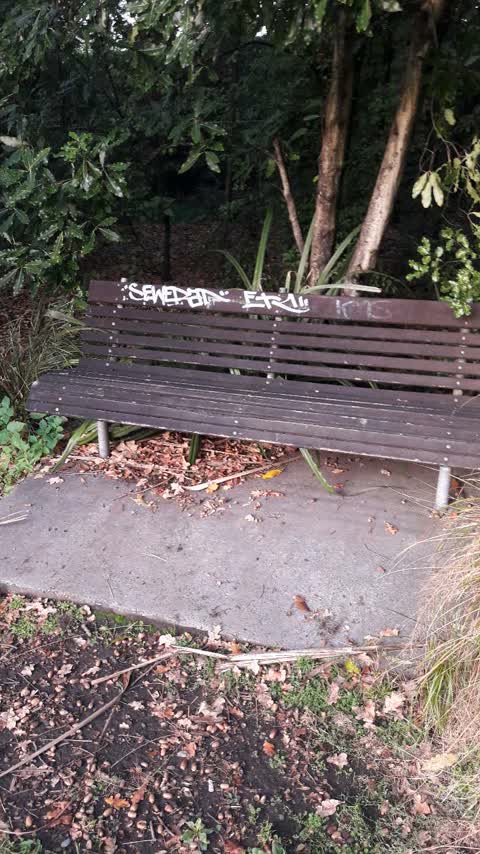 Graffiti, a report photo