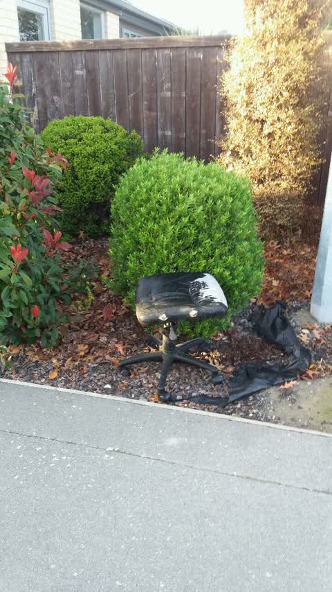 Rubbish/Recycling, a report photo