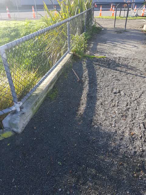 Parks, a report photo