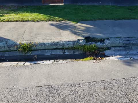 Roading/Streets, a report photo