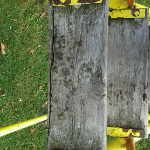 Parks, a report photo