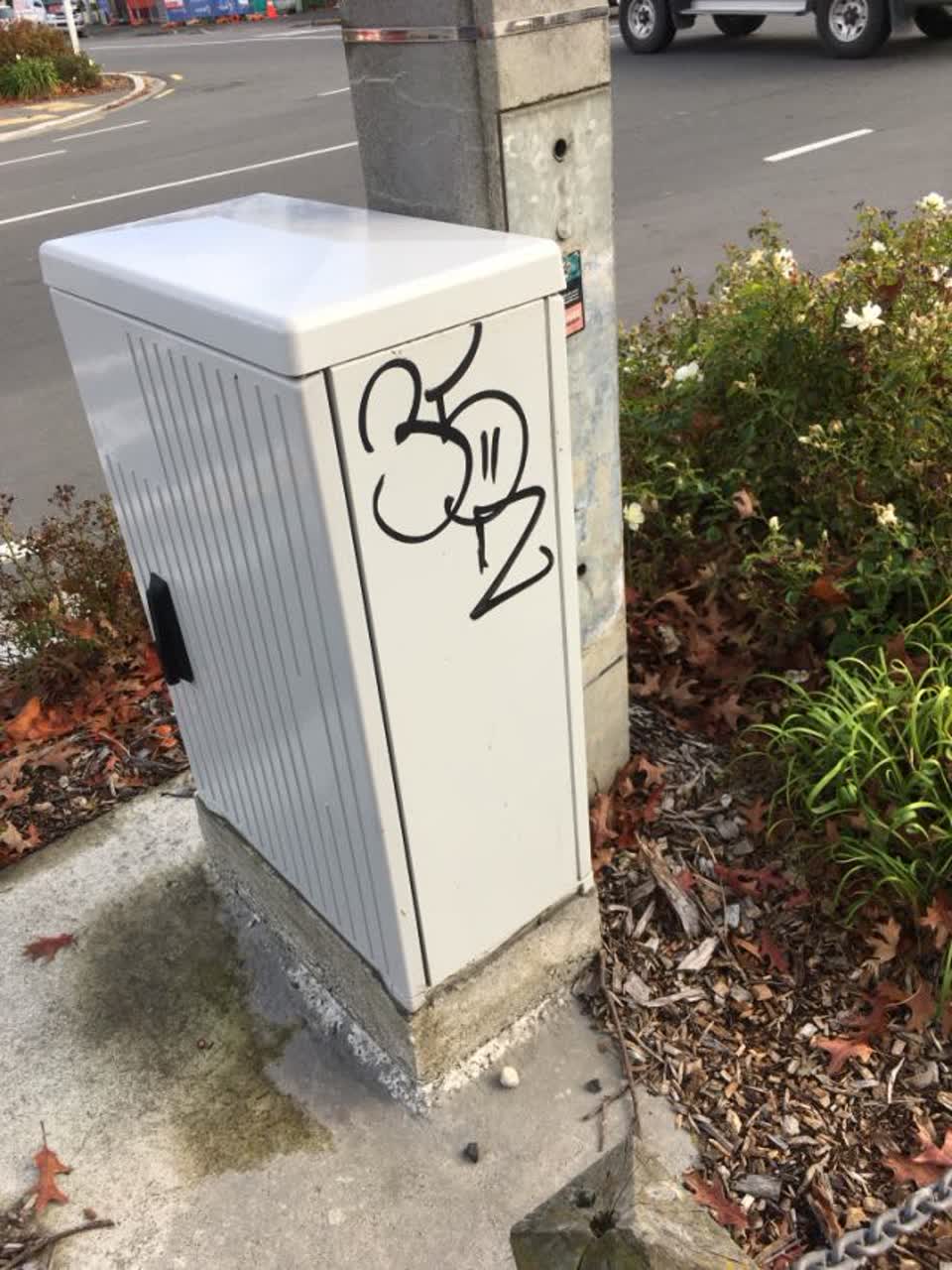 The photograph attached to this graffiti report