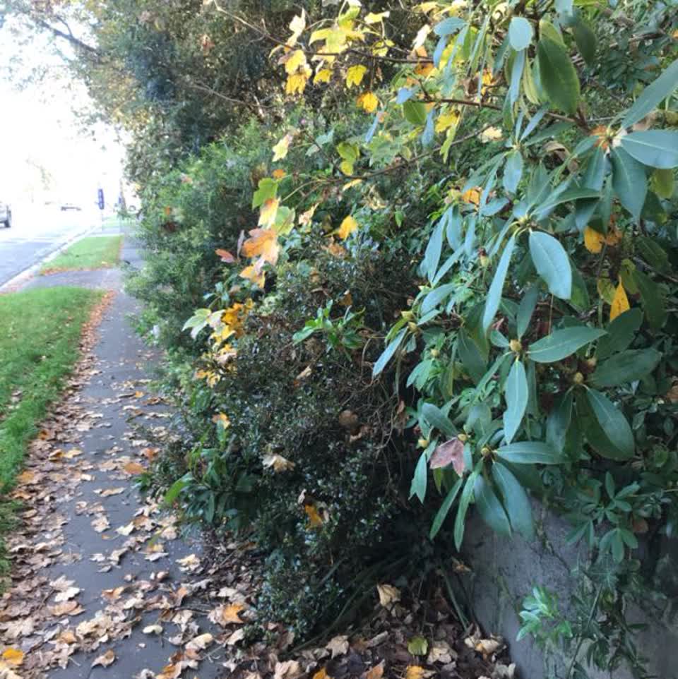 The photograph attached to this roading/streets report
