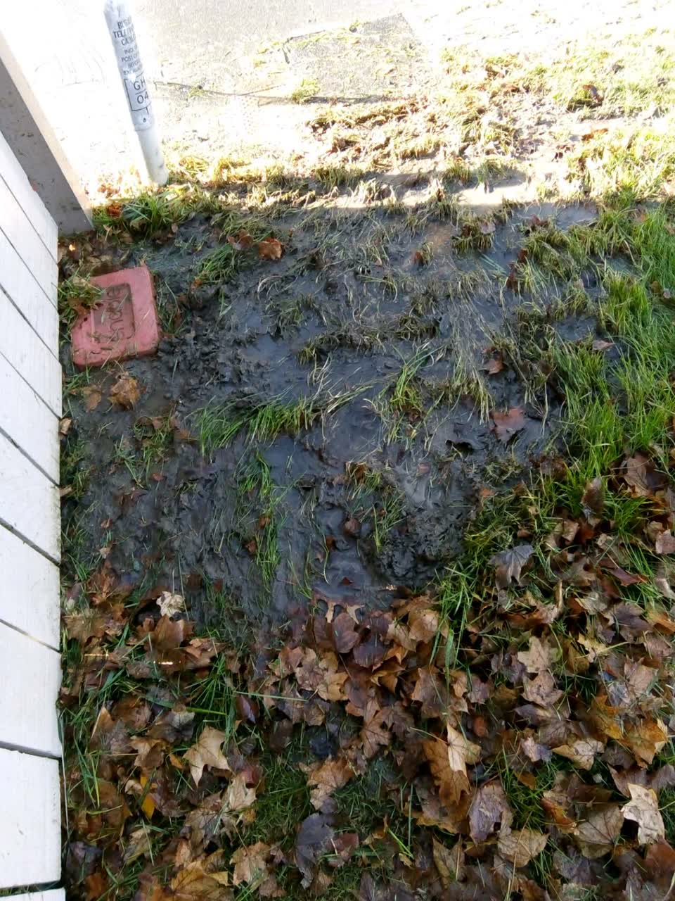 The photograph attached to this water supply report